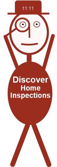 Discover Home Inspections mascot